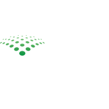 Arasan Chip Systems, Inc.