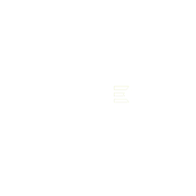 Truechip Solutions
