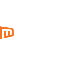 MEMS Vision
