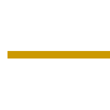 Polybus Systems Corp