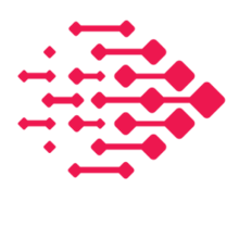 Rapid Silicon